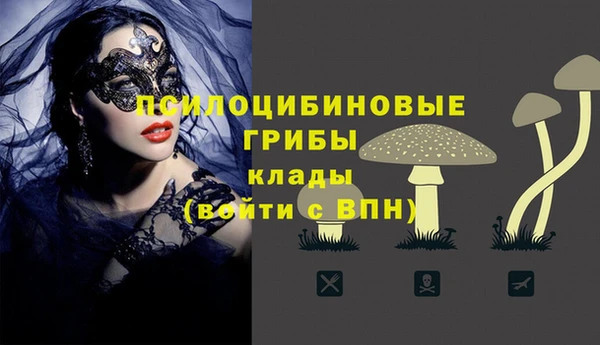 твердый Арсеньев