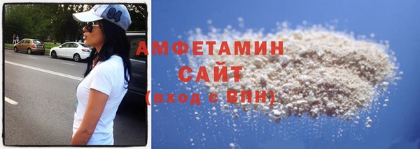 мет Алексин