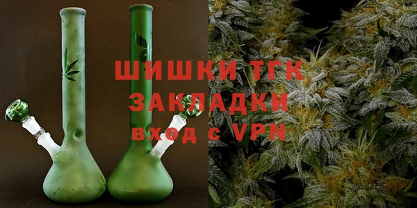 твердый Арсеньев