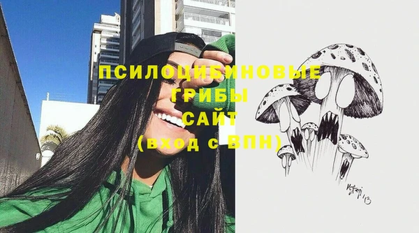 прущие крисы Алзамай