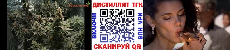 darknet Telegram  купить   Палласовка  ТГК вейп с тгк 