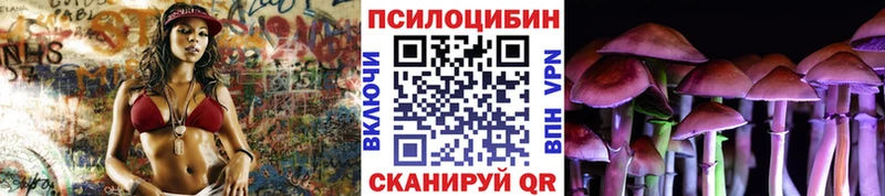 Псилоцибиновые грибы Psilocybe  что такое   Палласовка 